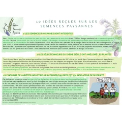10_ides_fausses_sur_les_semences_vignette