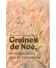graines_de_noe_recto