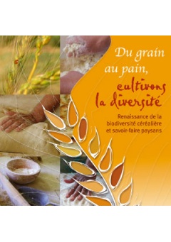 min-du-grain-pain_245145432