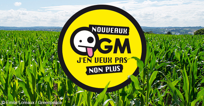 ogm j en veux pas non plus