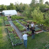 Jardinenvie-pepiniere