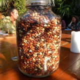 Graines del pais_RSP CC BY NC SA