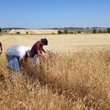 116161473_981725688944613_8362098886288115873_n