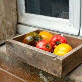 image jardin inspirés3