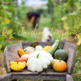 image jardin inspirés4